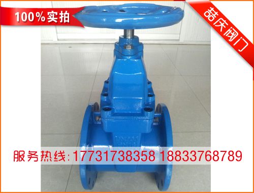 DN200暗桿軟密封閘閥